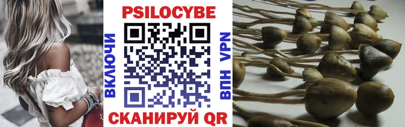 Псилоцибиновые грибы мицелий  hydra вход  Болгар 